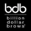 billiondollarbrows.com