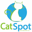 catspotlitter.com