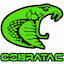 cobratac.com