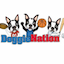 doggienation.com