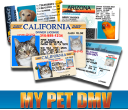 Mypetdmv.com