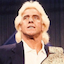 ricflairshop.com